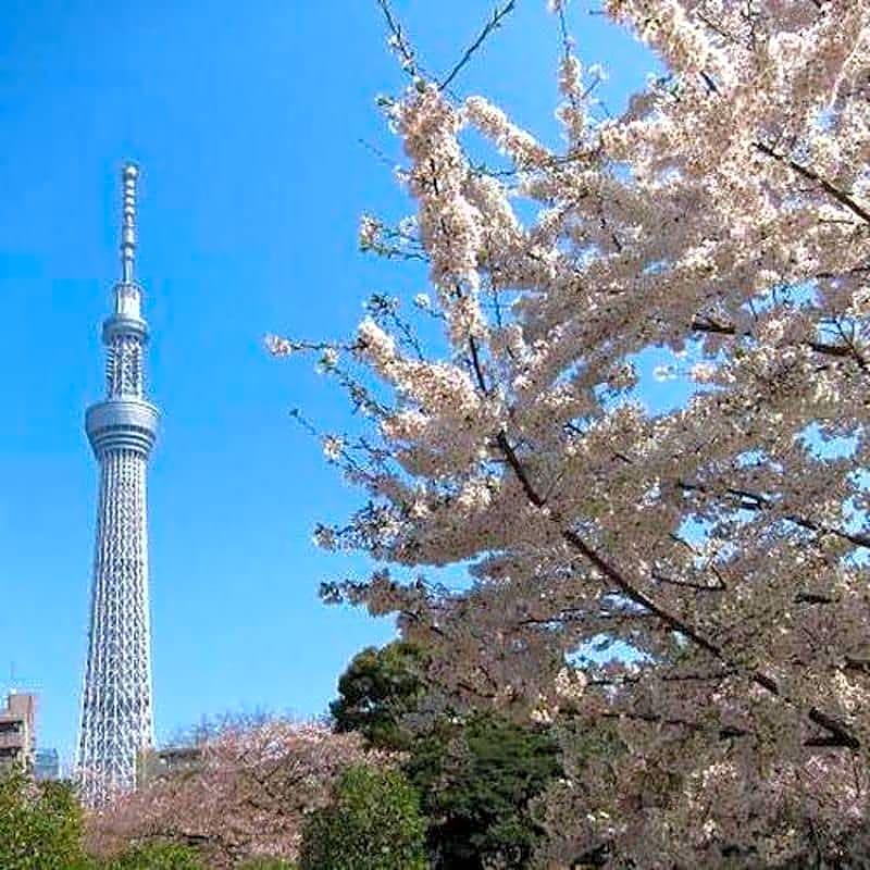 First Cabin Shinbashi Atagoyama Tokyo Luaran gambar